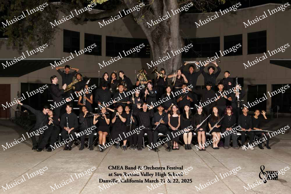 Musical Images